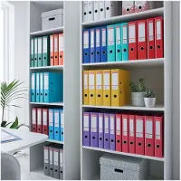 Esselte 811411, A4, Blau, 350 Blätter, 5 cm, 52 x 287 x 318 mm