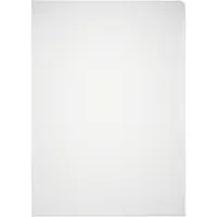 Durable Sichthülle Standard, DIN A4, glatt, 100 Stück