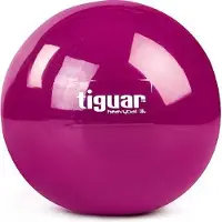 Tiguar Heavy Ball 1kg exercise ball Tiguar Violet univ (TI-PHB010)