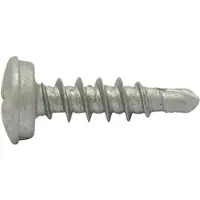 Swg 211651925 Nummerplade-skruer 5 mm 19 mm Krydskærv Philips Stål verzinkt 100 stk