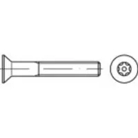 Toolcraft TO-5380299 Sicherheitsschrauben M5 35 mm Innensechsrund 88117 Edelstahl A2 100 St.