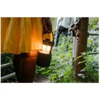 Pure Woodland Glow Bluetooth-lautsprecher