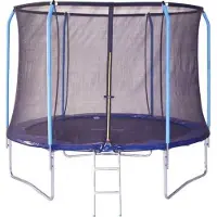 Spartan Gear Trampolin 305 cm + Sicherheitsnetz und Leiter