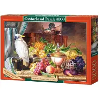 Castorland Copy of Still Life With Friut a.aCock Polyurethan C-300143-2