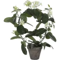 Mica Decorations Stephanotis Künstliche Pflanze im Blumentopf Stan - H50 x Ø40 cm - Weiß