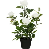 Mica Decorations Kunstpflanze Rose im Topf creme Ø 35 x 62 cm GFMd573d5d46