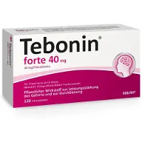 Dr. Willmar Schwabe GmbH & Co. KG Tebonin forte 40 mg 120 St