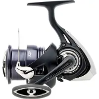 Daiwa Nzon 25 Lt Karpfenrolle