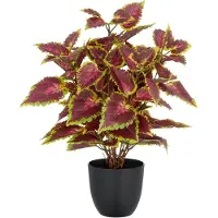Creativ Green Kunstpflanze "Buntnessel Coleus Kong red" mit Luftwurzeln