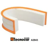 TECNOCAR Luftfilter A2843