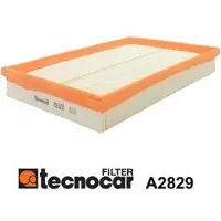 TECNOCAR Luftfilter A2829