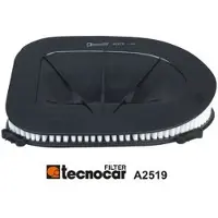 TECNOCAR Luftfilter A2519