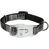 Trixie LED-Halsband für Haustiere Explore USB Schwarz S/M 30-45 cm