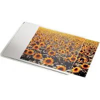 Esselte Mousepad transparent 67691, Transparent,White,