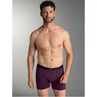 Trigema Boxer "Pants mit praktischem Gummibund", Herren, Gr. L, 1 Stk., lila (aubergine), 95% Baumwolle, 5% Elasthan, Unterhosen Boxer