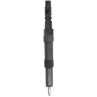 Delphi Einspritzdüse R00504Z