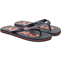 Oakley Apparel College Flip Flop graphite (00N) 11.0