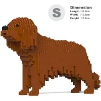 Jekca Bricks Cavalier King Charles Spaniel 01-M05 ST19PT36-M05