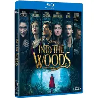 Disney Into De Woods Blu-ray