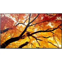 Sharp MultiSync M432, Digital Signage Flachbildschirm, 108 cm (42.5"), LCD, 3840 x 2160 Pixel