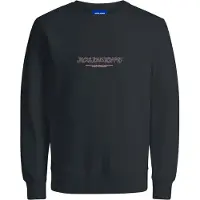 Jack & Jones Jorbronx Sweat Crew Fst