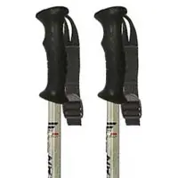 Fizan Explorer Stock