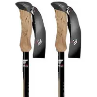 Fizan Compact Tech Stock