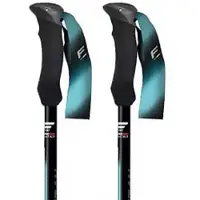 Fizan Compact Tech Stock