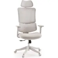 MyBuero Home Office Bürostuhl Ergomy Colore Schreibtischstuhl mit Armlehnen (höhenverstellbar) Stoff / Netzstoff Drehstuhl