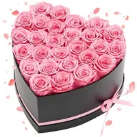 Vevor 27 Stk. Ewige Rosen in Herzform Box