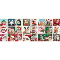 Eurographics Christmas Whiskers Adventskalender 24 x 50 Teile