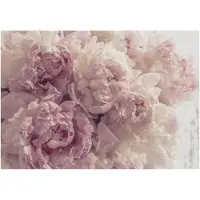 WALLARENA Fototapete Blumen in Rosa | Gr.: 300 x 210 cm