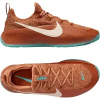 Nike Lebron TR 1 Schuh Braun F200 || Größe 43