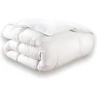 Vente-unique Federbettdecke Daunenbettdecke - 220 x 240 cm - DODO von BAFFIN