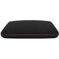 Vente-unique Kopfkissen Baldia Schwarz 60 cm