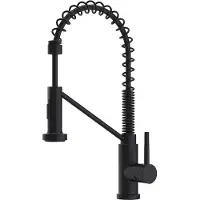 Vente-unique Küchenarmatur mit ausziehbarem Auslauf - Edelstahl - Schwarz matt - ROFLEX