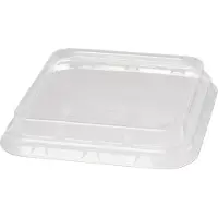 Duni Låg t/salatboks bagasse rPET 156x156x44mm 240stk/kar - (240 stk.)