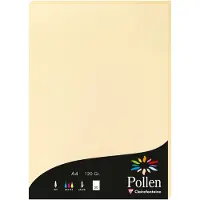 Pollen Papier