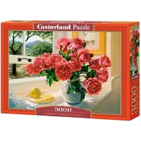 Castorland Puzzle Erinnerung an den Sommer 3000 Teile