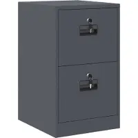 vidaXL Aktenschrank Anthrazit 44 x 50 x 74,5 cm Kaltgewalzter Stahl