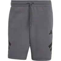 Adidas Sportshorts Future Icons 3-Stripes KD5241 Grau Regular Fit