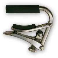 Shubb C5 Banjo Flat