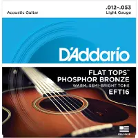 D'addario And Co EFT16