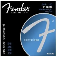 Fender 7150 Pure Nickel 45-100