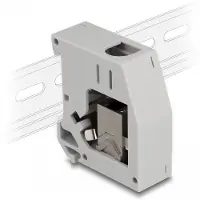DeLOCK Netzwerkadapter - 1 x RJ45 jack - Grau