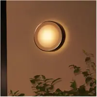 Philips White & Color Ambiance Daylo Wandleuchte Silber 1050lm