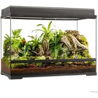 Exo Terra Pro Terrarium L Tall Terrarium 90x45x60cm Grün 90x45x60 cm Grün 90x45x60 cm