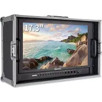 Seetec 17.3" 1920Ã1080 Pro Broadcast LCD Monitor with 3G SDI HDMI AV (suitcase)