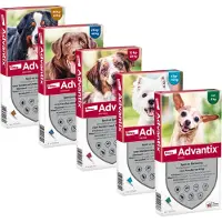 Elanco Deutschland GmbH 100/500 für Hunde von 4 bis 10 kg