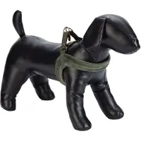 Designed By Lotte Velura - Hundegeschirr - Grün - XXS - 20 mm x 36 cm